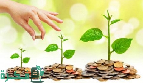 ترتيب شركات التمويل متناهي الصغر في مصر