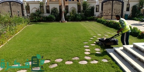 خطوات تنفيذ لاند سكيب