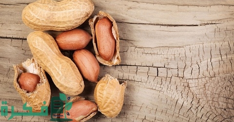 دراسة جدوى زراعة الفول السوداني