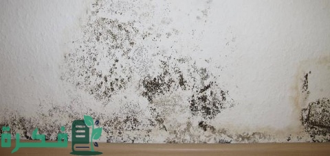 طرق التخلص من رائحة الرطوبة