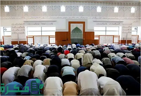 كم يبلغ عدد المسلمين في الدنمارك