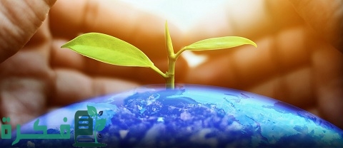 كيف نحافظ على البيئة