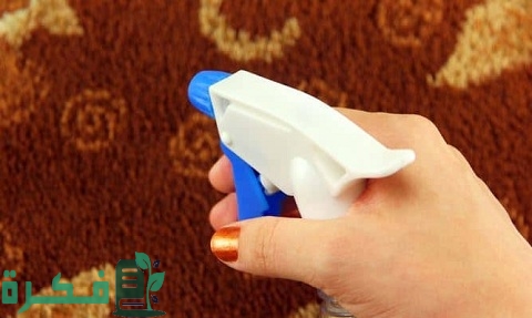 كيفية التخلص من البراغيث في البيت