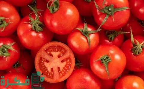 كيفية زراعة الطماطم على أسطح المنازل