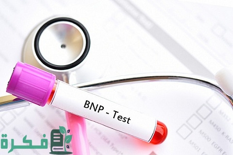 ما هو تحليل BNP