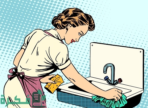 ما هو فلاي ليدي