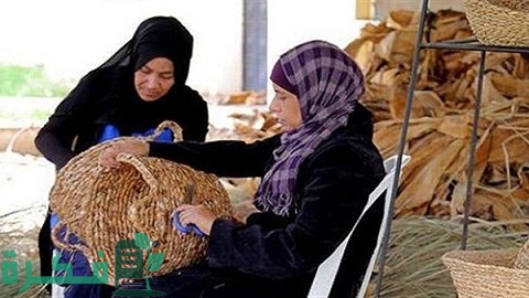 مشروعات متناهية الصغر لمحدودي الدخل