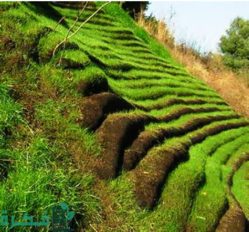 ما هي مغطيات التربة