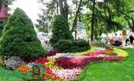 النباتات المستخدمه في تزيين الحدائق
