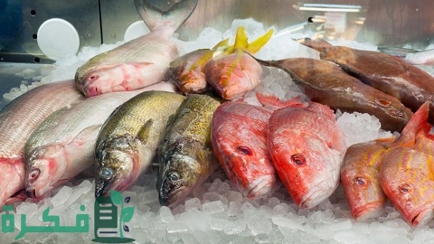 دراسة جدوى مشروع محل أسماك