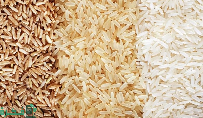 انواع رز العنبر ومميزاته