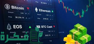 3E356F36 70FA 49F0 A4B6 1B277A9FF4CE