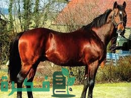 A5D6B822 B773 49D0 8841 360E7391A921