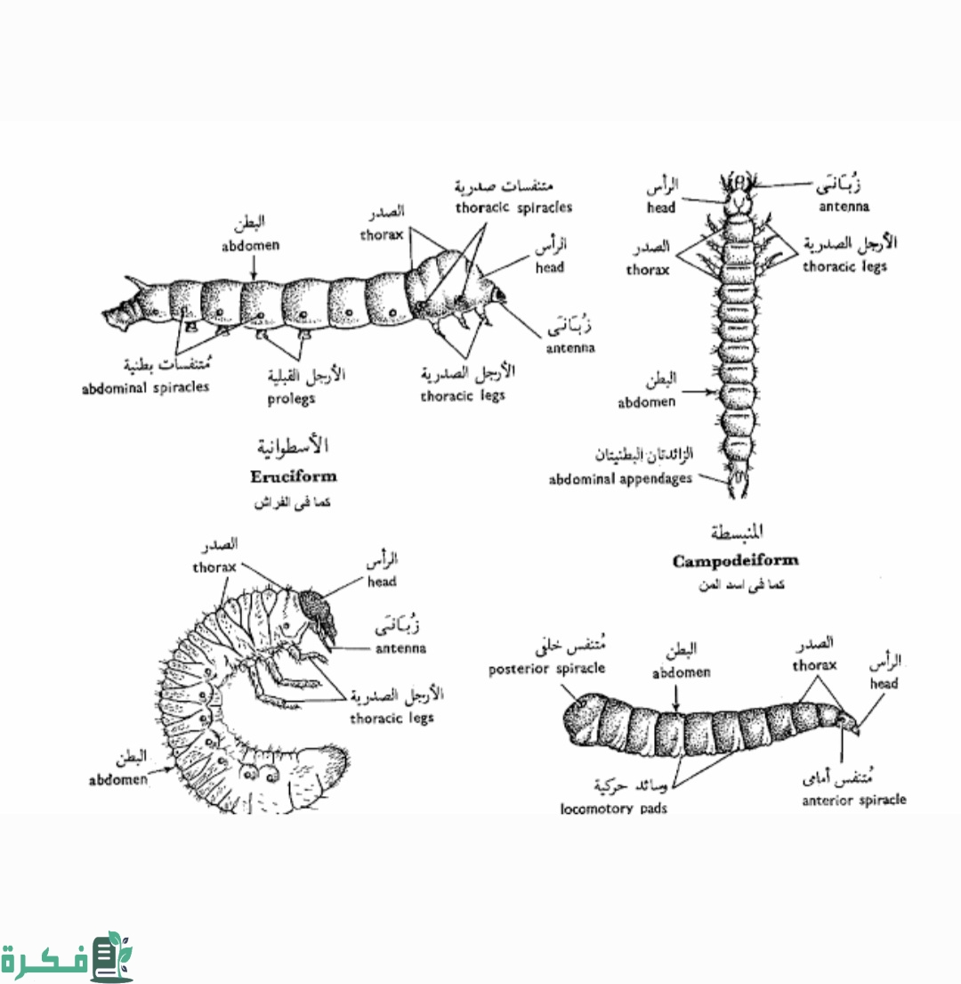 Screenshot ٢٠٢٢٠٩١٩ ٠٠٠٨٠١ Gallery