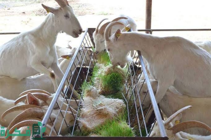 images 2022 09 08T002757.055