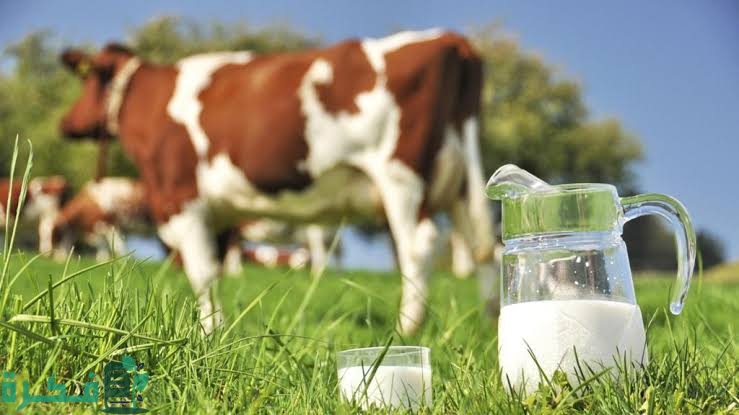 اهم العوامل المؤثرة على إنتاج كمية الحليب 5 images 2022 09 08T223720.721