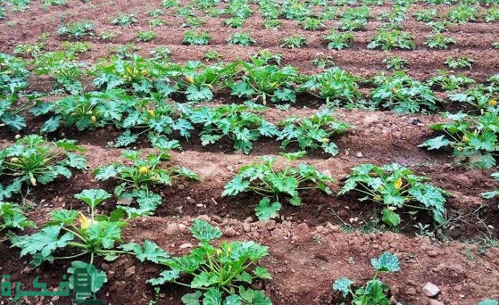 images 2022 09 09T131816.628