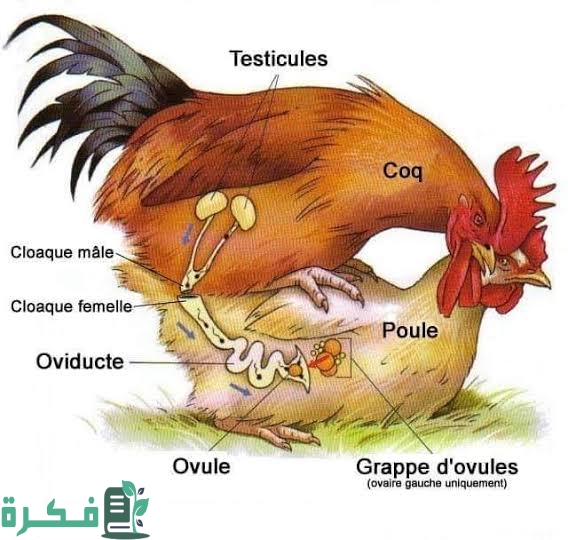 images 2022 09 12T075828.658