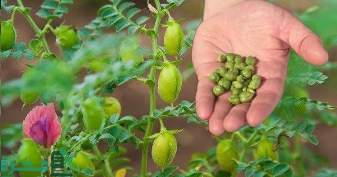 images 2022 09 12T103757.389