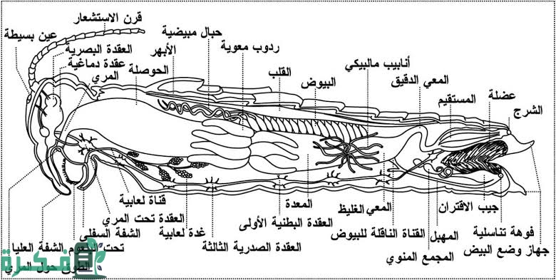 images 2022 09 12T223804.569 1