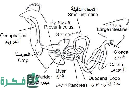 images 2022 09 13T103752.282