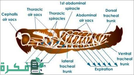 images 2022 09 13T195201.813