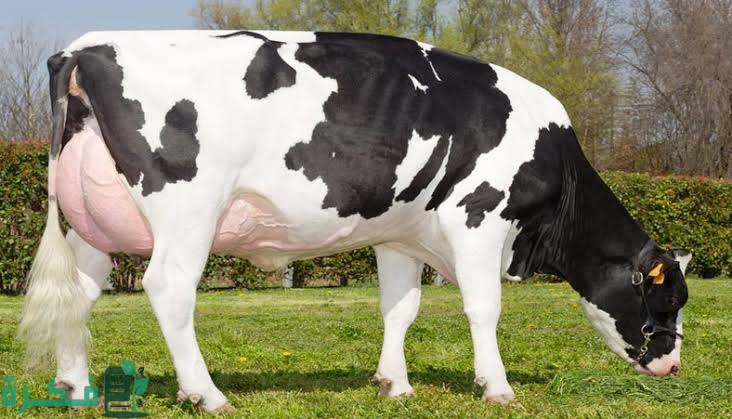 images 2022 09 14T214202.888 1