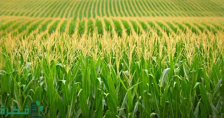 images 2022 09 15T193240.629