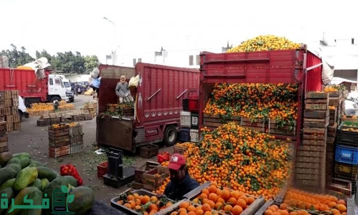 images 2022 09 25T234931.285