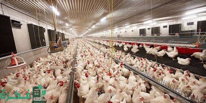 images 2022 09 26T215459.849