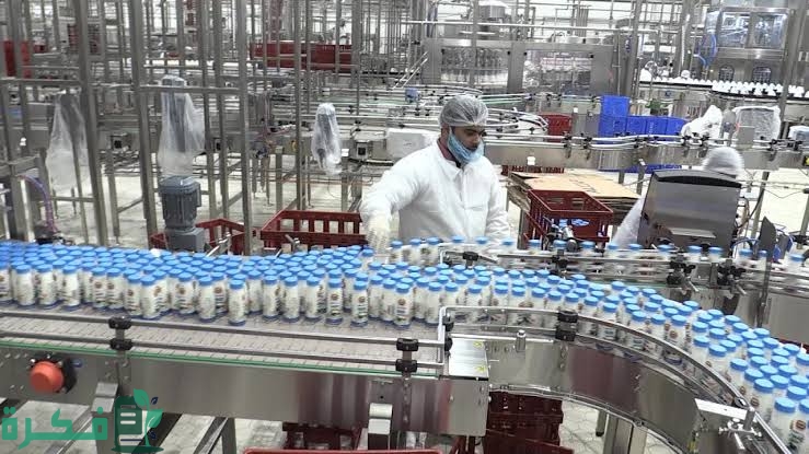 شروط انشاء معامل الألبان واهم المعدات المستخدمة 4 images 73