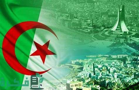 mWvFTWo8Cr9gsGzkCsbLgQHaE1