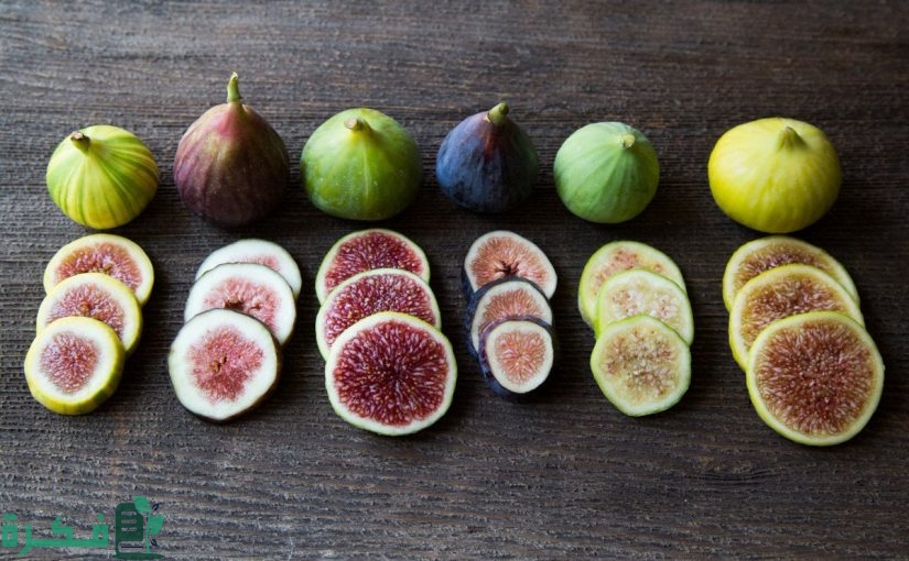أنواع التين 825x510 1