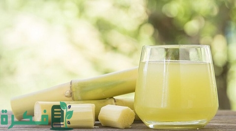 تكلفة مشروع محل عصير قصب ودراسة جدوى وكيفية تسويق المشروع