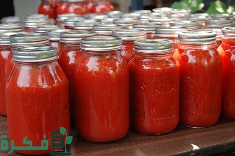 دراسة جدوى مشروع مصنع صلصة طماطم