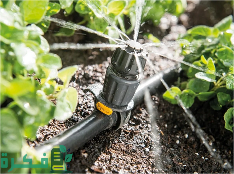 طريقة إنقاذ وإنعاش النباتات الضعيفة والتالفة