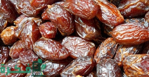 مشروع صناعة قوالب العجوة في المنزل