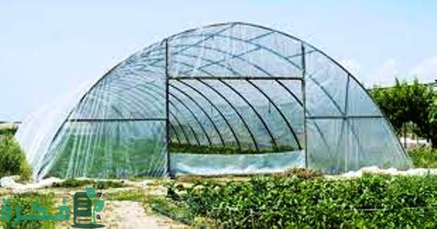 ما هي الصوب الزراعية