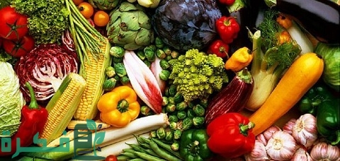 جدول مواعيد زراعة المحاصيل الزراعية في العراق