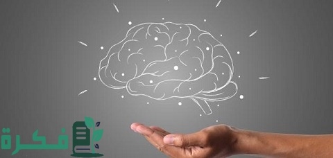 استراتيجية العصف الذهني لتكوين خطة عمل إبداعية