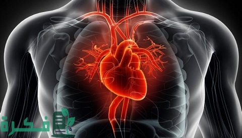 ما سبب خفقان القلب عند الاستلقاء على الظهر