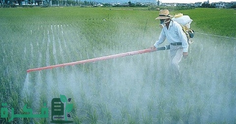 دليل المبيدات الزراعية المسجلة في مصر