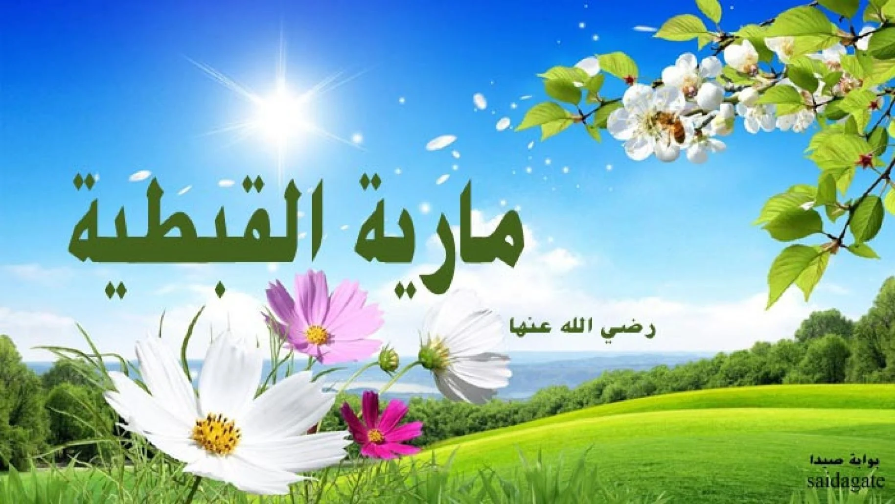 سرايا النبي صلي الله عليه وسلم