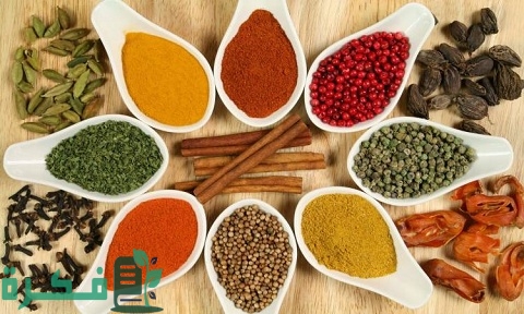 230+ اسماء محلات عطارة 3 اقتراحات اسماء محلات عطارة