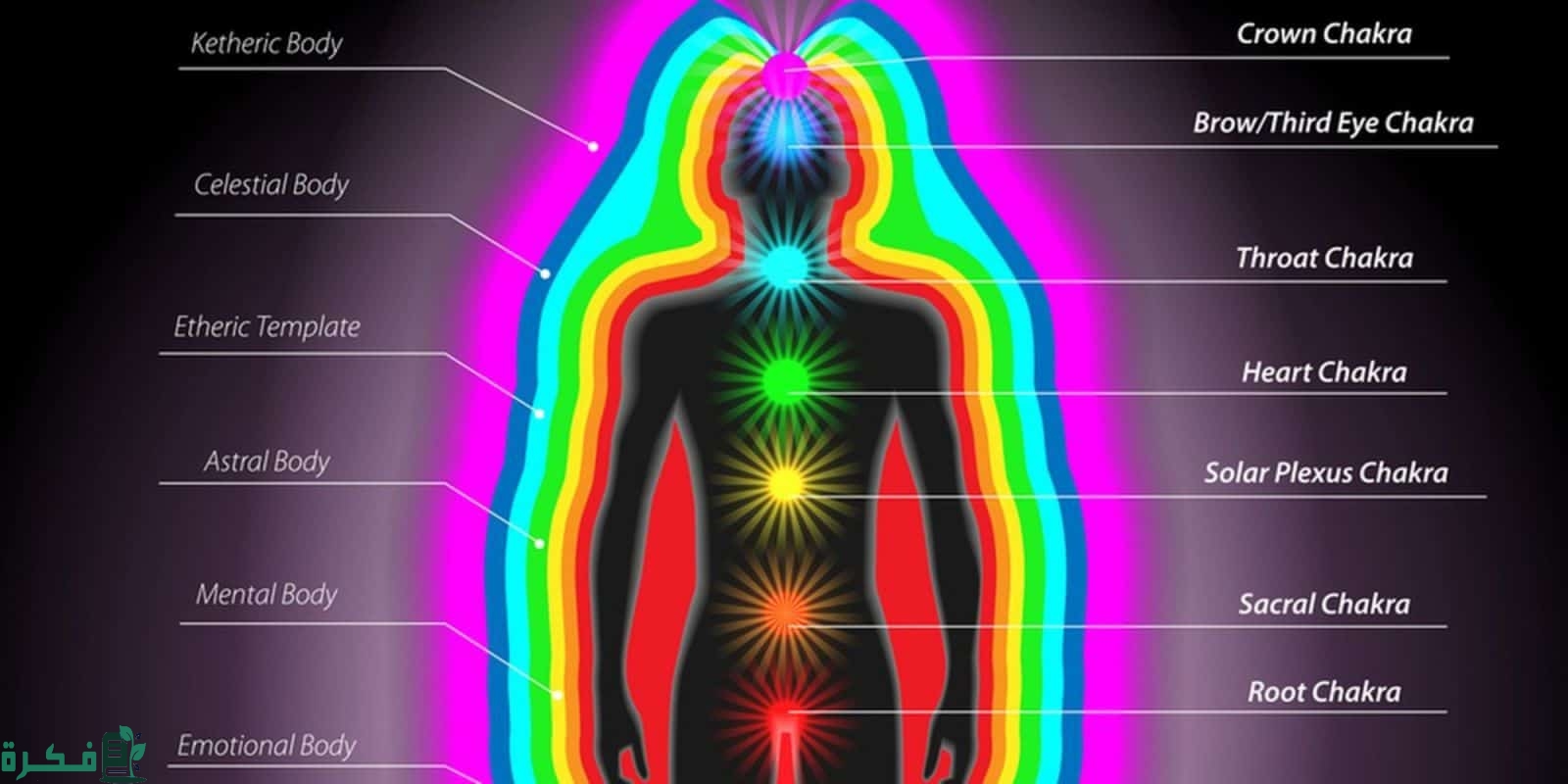 هل شرب الماء يزيد من الطاقة الإيجابية 17 ما هي الطاقة الايجابية