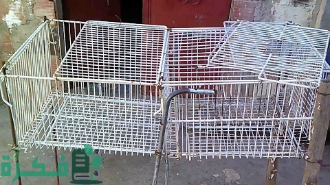 كيفية صنع بطاريات الأرانب بالتفصيل