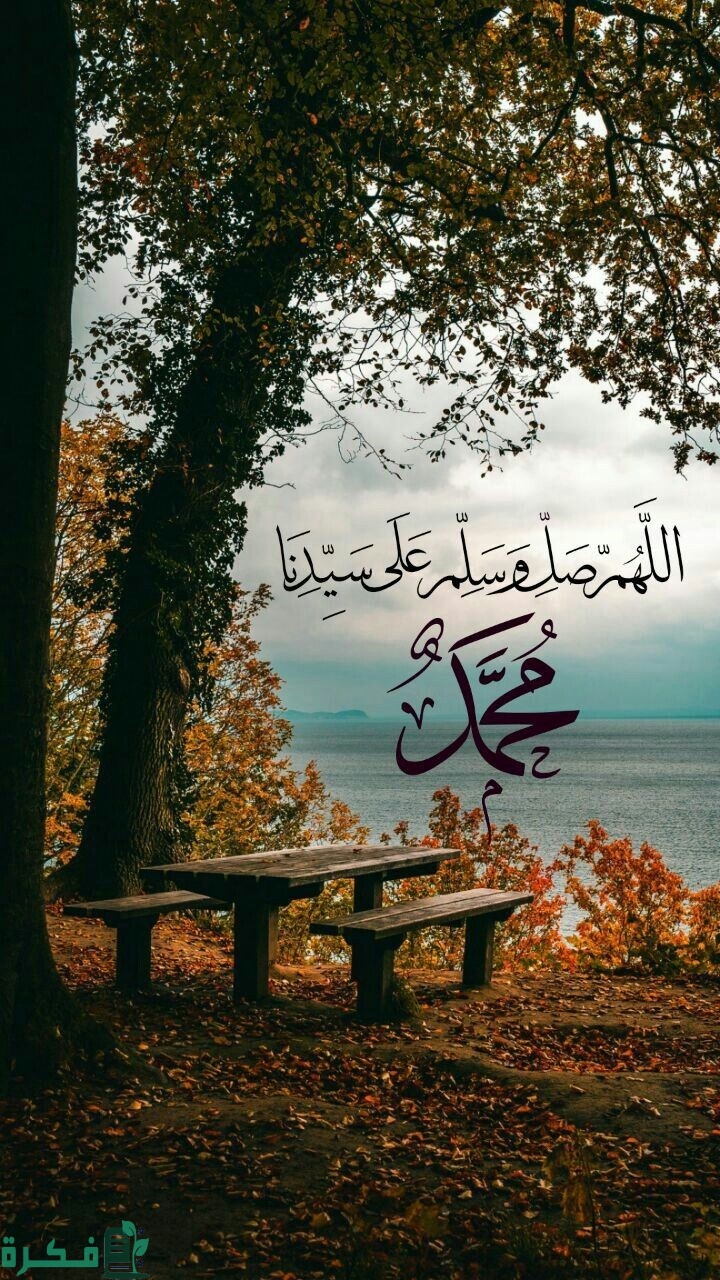 5146b472d4d6ae04f22f2ff3d6f7cae7