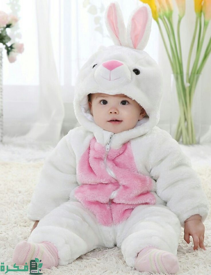 59de263e4064042debcd3712f18f0e5c