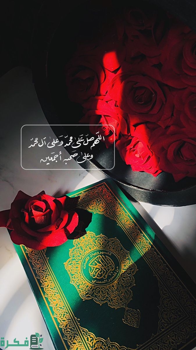 6465c02a19fb0eeb915ecdc98be82185