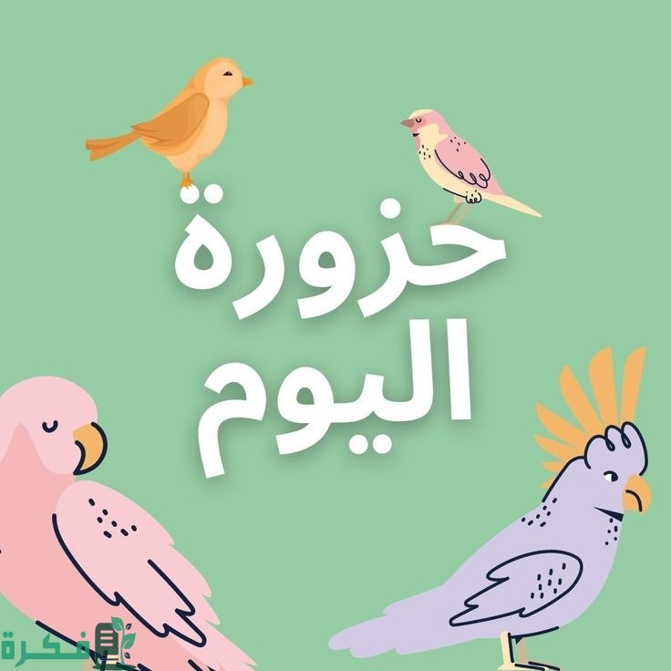 86e2b52cc6ccbea19f7de7efad072b02